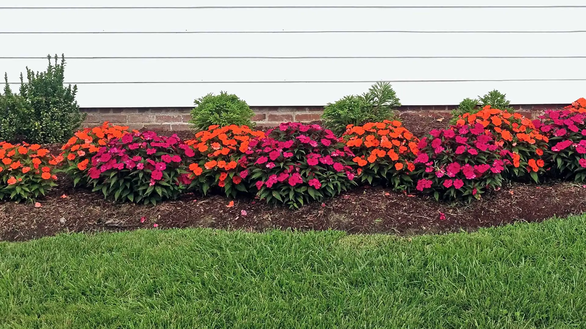 How to Keep the Plants in Your Landscape Beds Healthy & Looking Their Best
