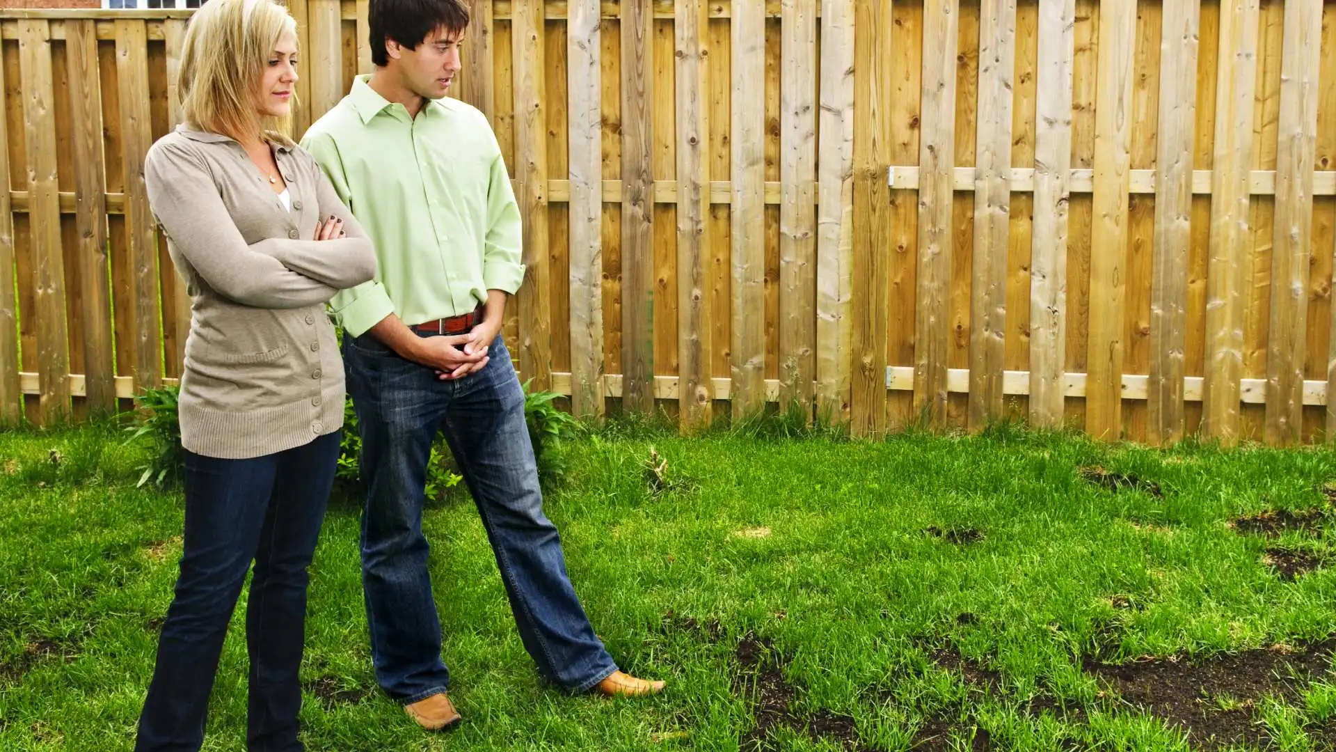 Are You Constantly Battling a Weak Lawn? Get to the Root of the Issue