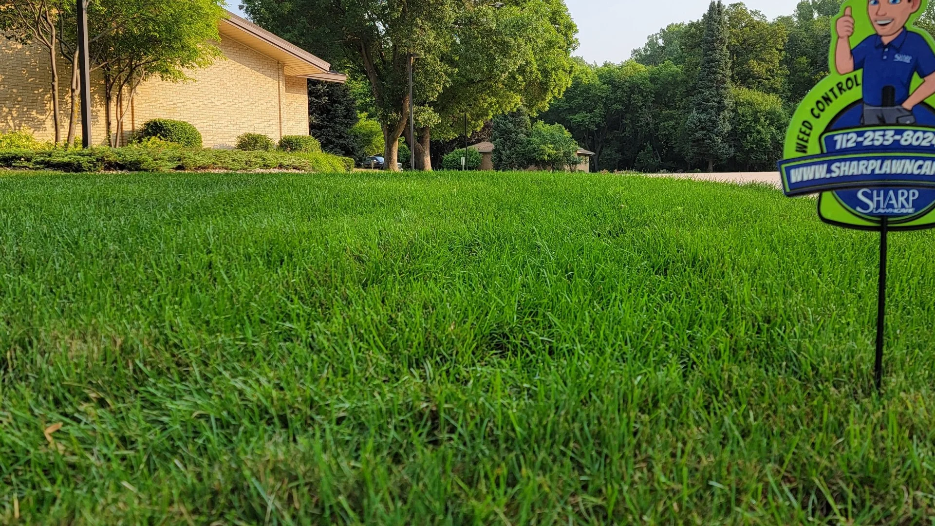If You Want a Green Lawn, You Must Be Applying These 2 Treatments