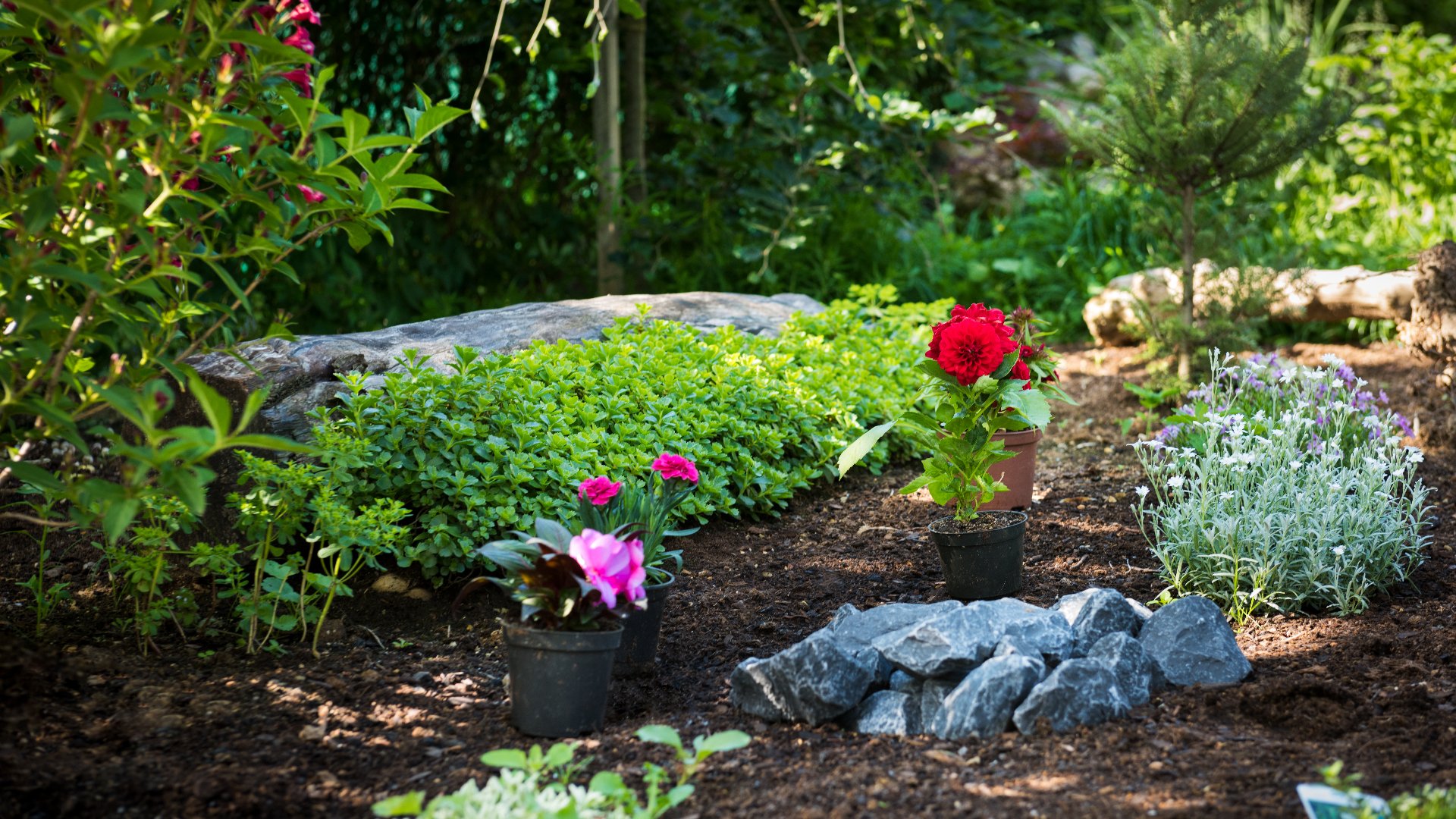 Don't Forget About Your Landscape Beds - They Need TLC Too!