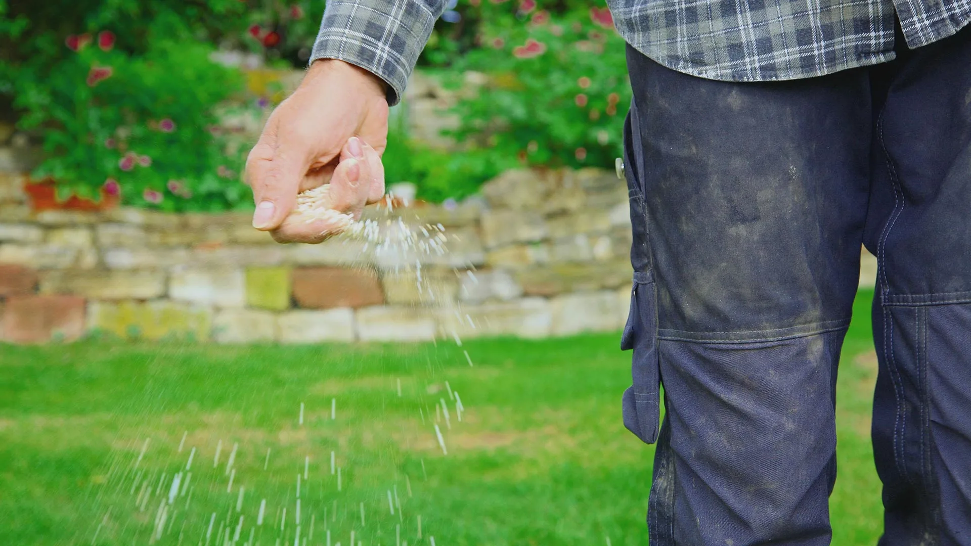 DIY Fertilization Can Be a Waste of Time & Money - Hire Pros Instead!