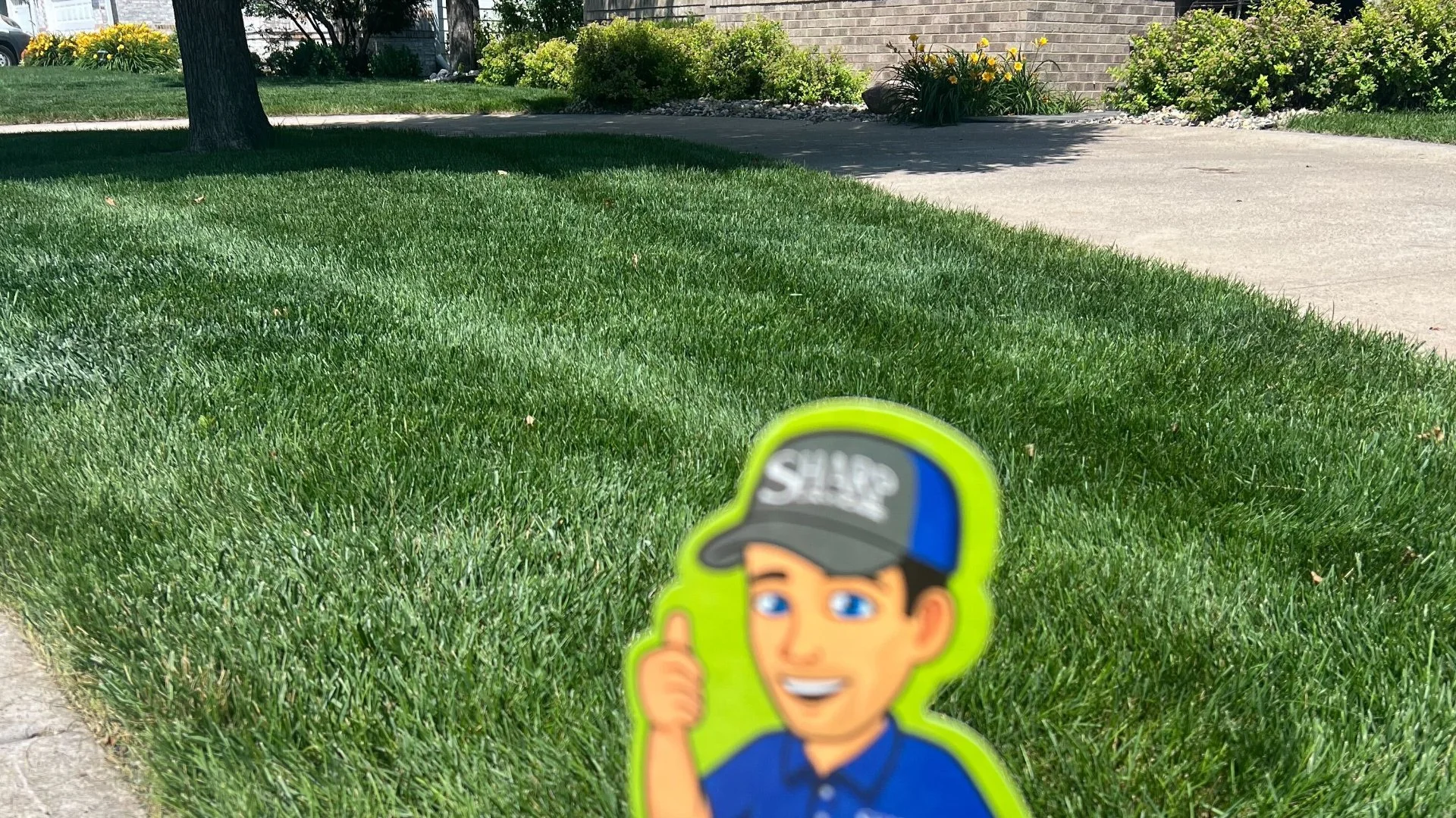 We Renovated a Lawn in Sioux Falls, SD, Using Fertilizer, Weed Control, & More