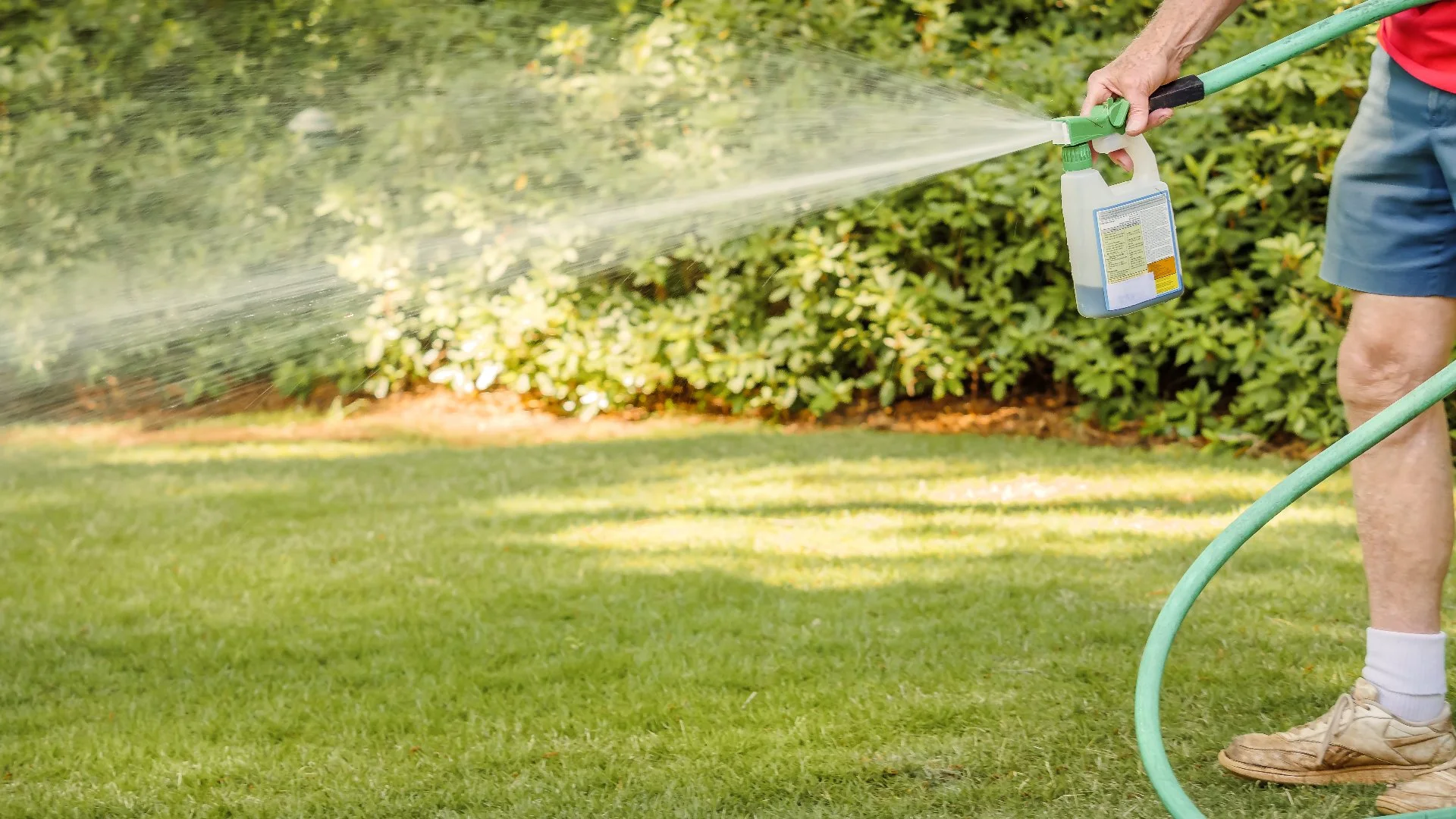 Should You Fertilize Your Lawn Before or After a Liquid Aeration Treatment?