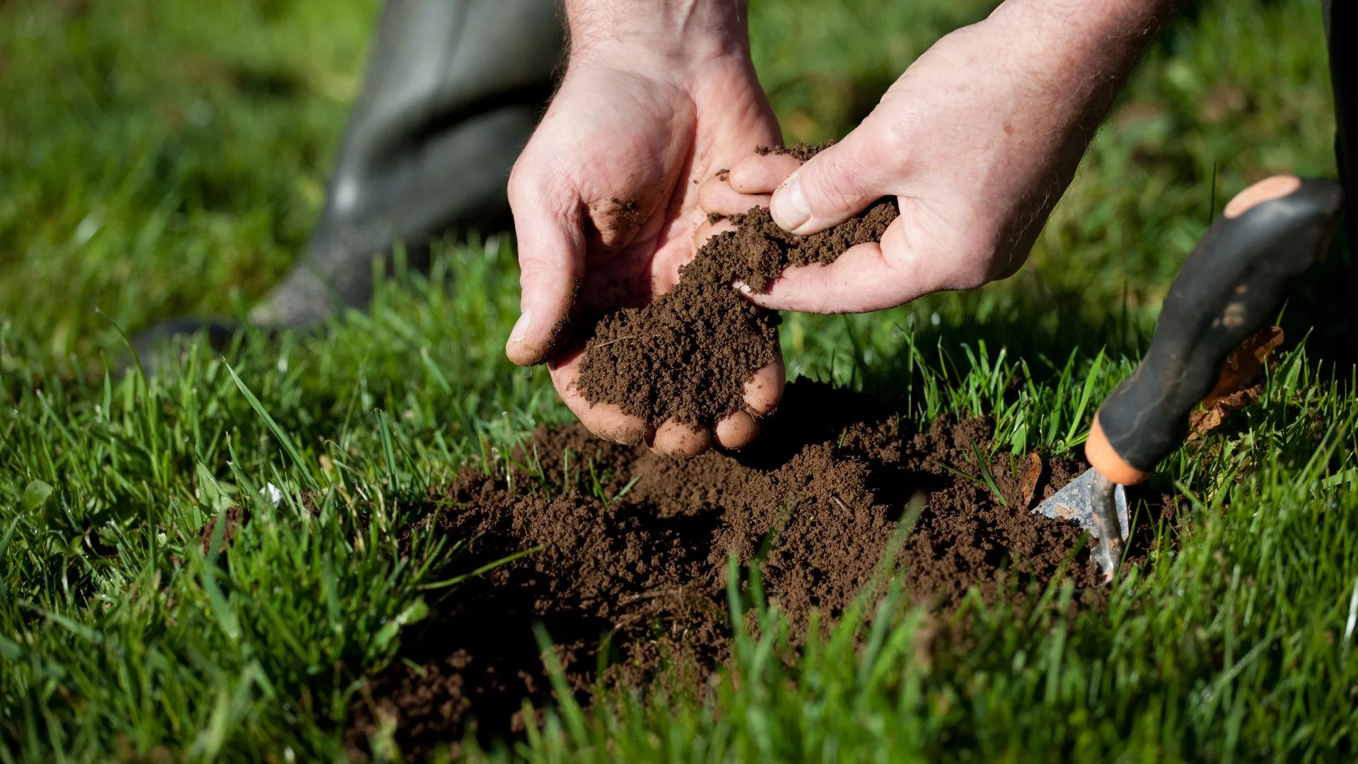 Is Your Soil Providing Your Grass With What It Needs? Have It Checked!