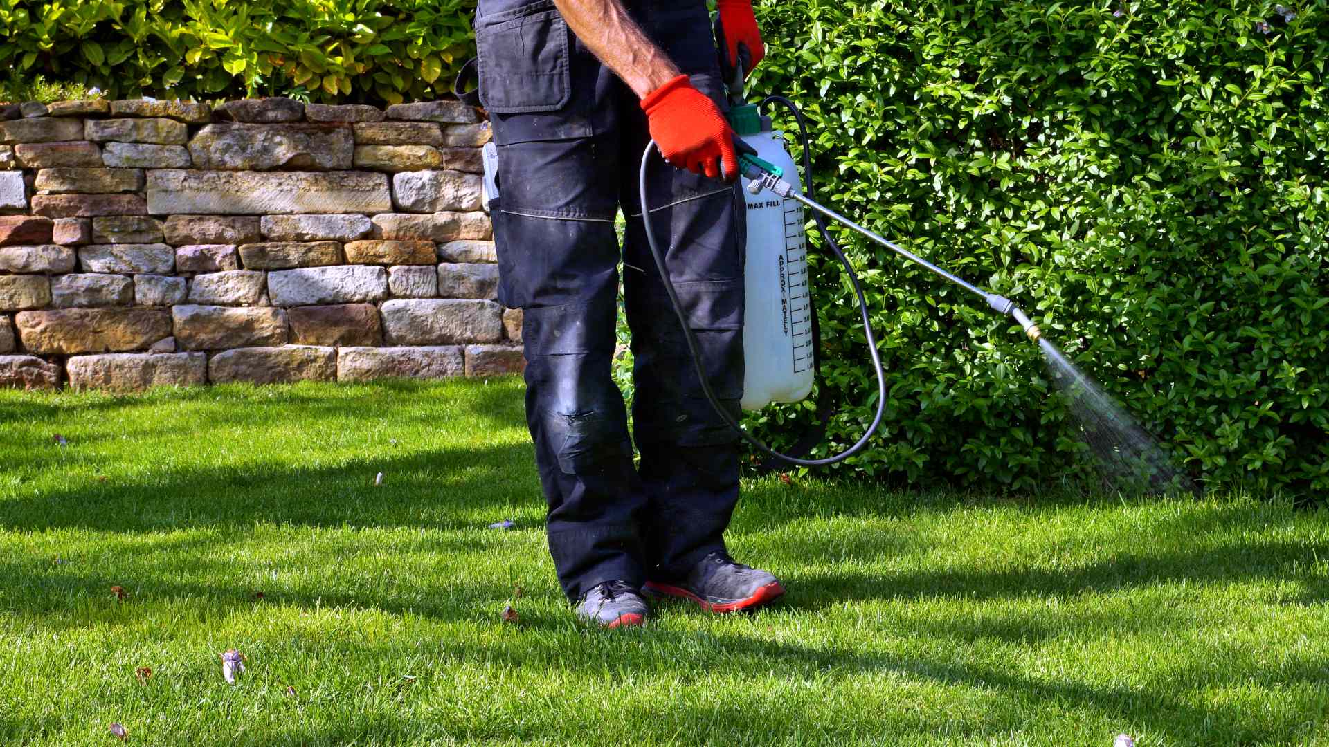 4 Reasons You Should Leave Perimeter Pest Control to the Professionals