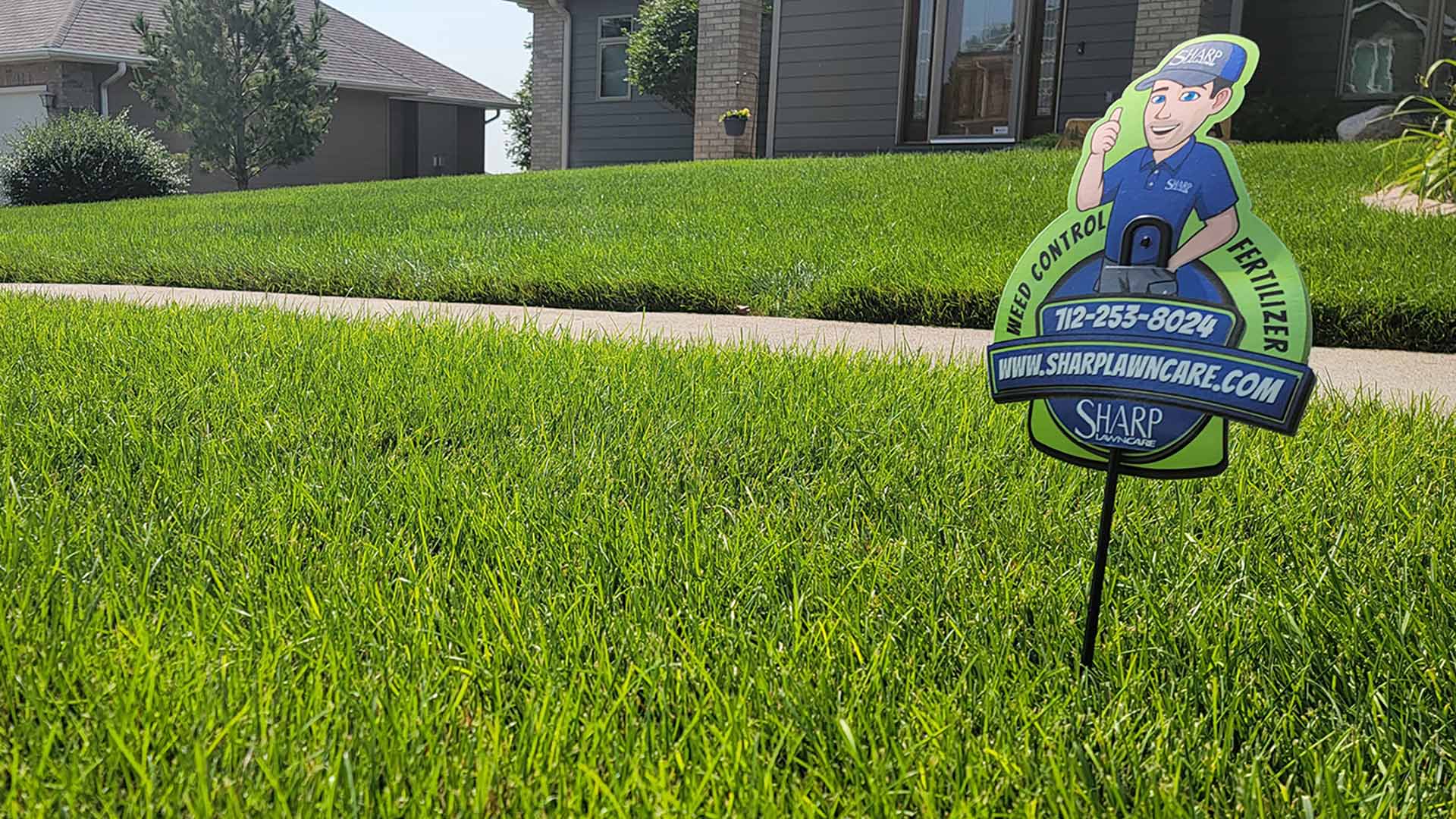 Is Signing Up for a Lawn Health Package Worth It?