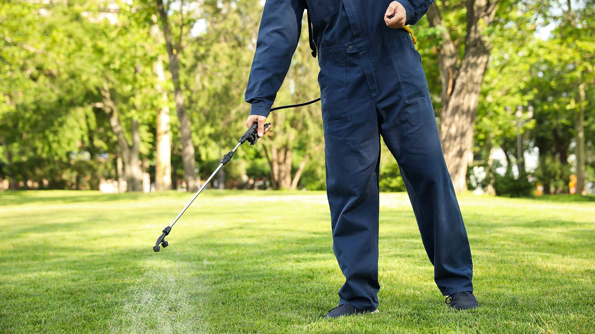 The Worst Lawn Weeds We See in Sioux Falls & What to Do About Them