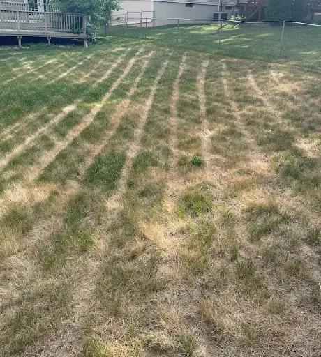 What Is Heat Tracking & How Do You Identify It on Your Lawn?