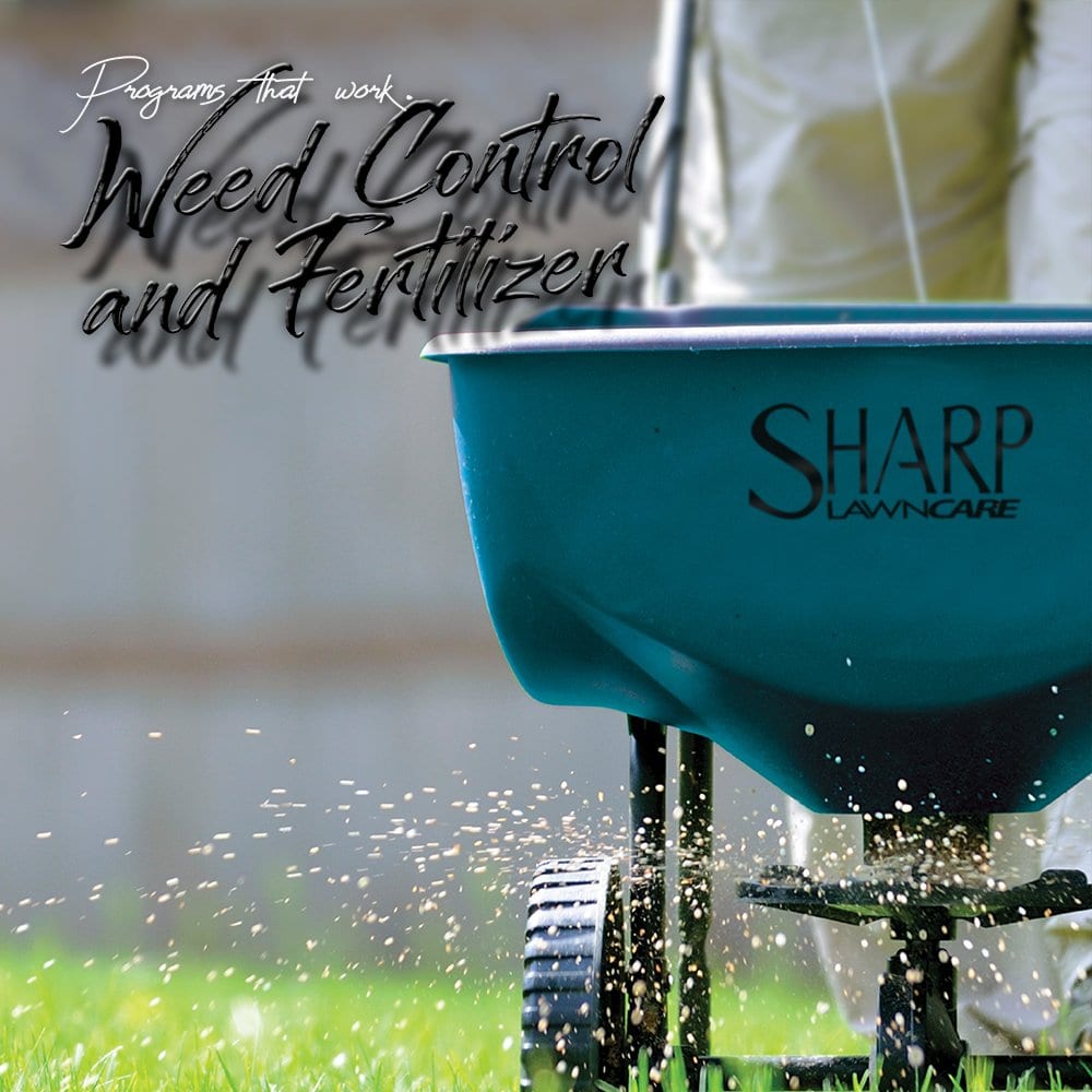 Sharp Lawn Care graphic about weed control and fertilization programs.