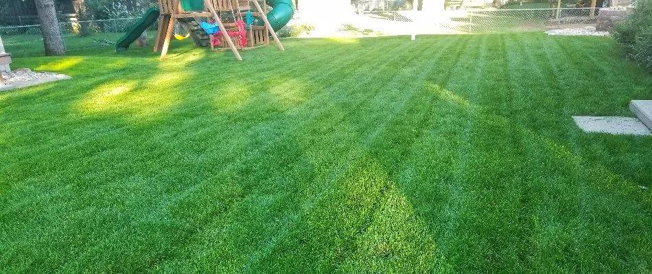 Healthy, green lawn in South Dakota.