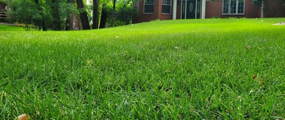 Healthy, green lawn in Sioux Falls, SD. 