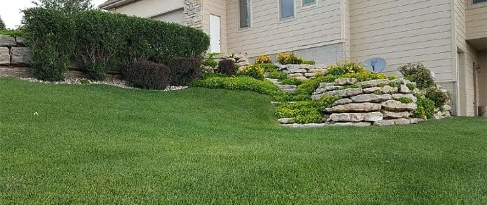 Landscape maintenance by Sharp Lawn Care in Sioux Falls, SD.