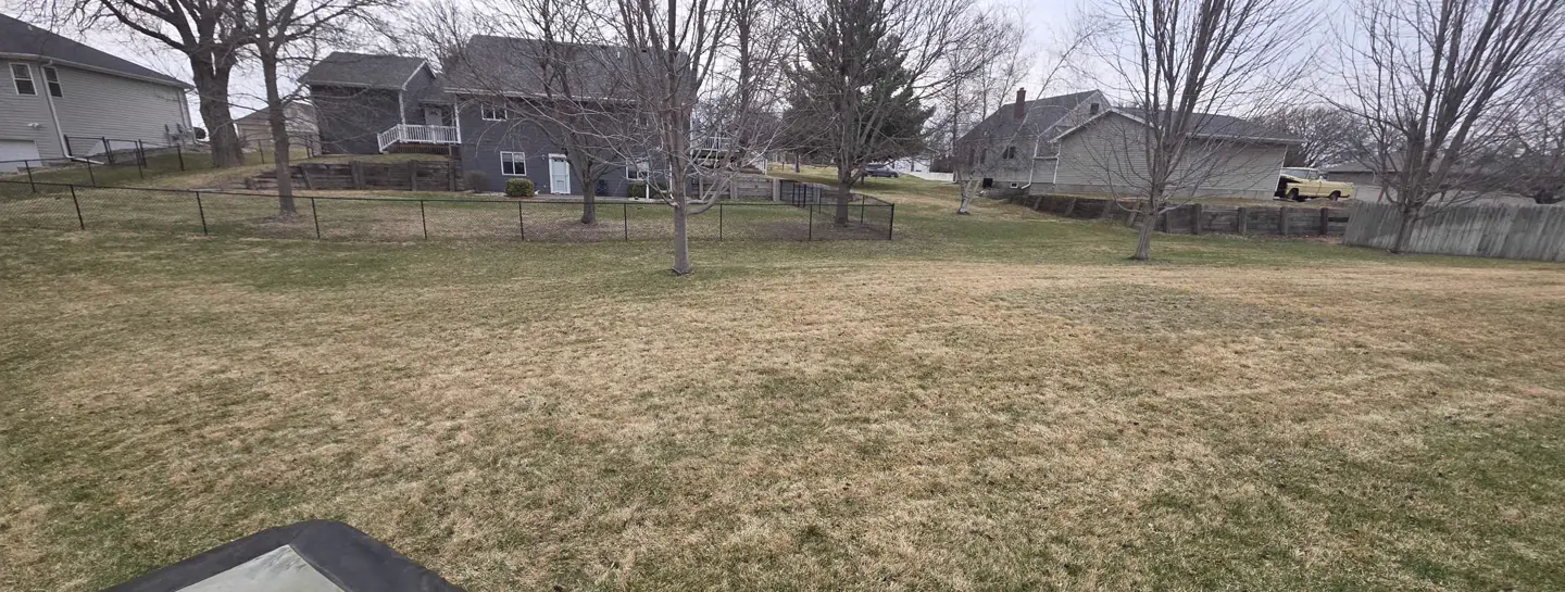 Brown and green patchy lawn in early spring in Sioux City Iowa