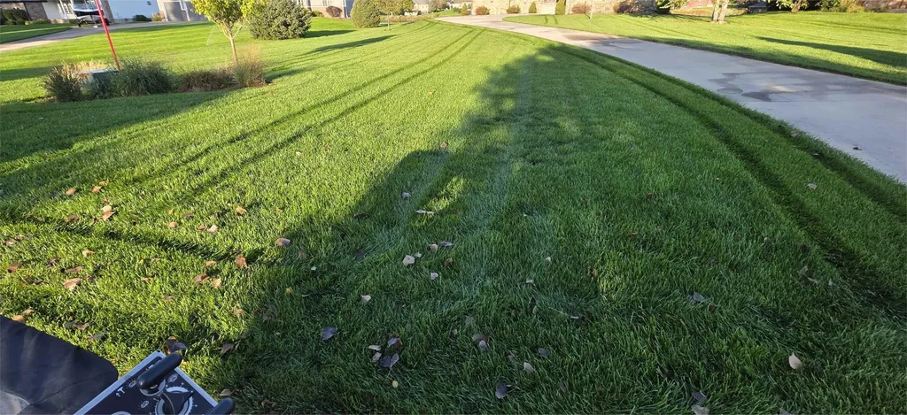 Thick, healthy lawn with visible mowing stripes showing premium lawn care results in the Siouxland area