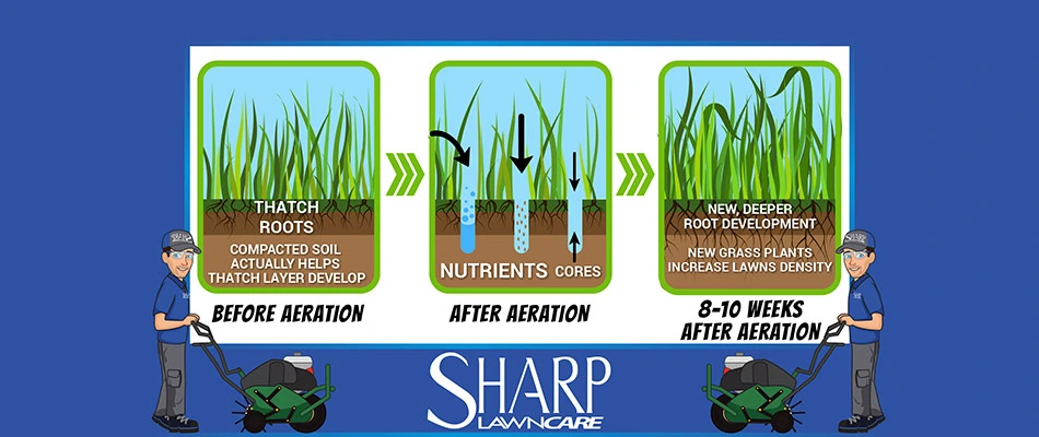 When and Why to Aerate