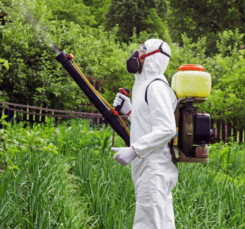 Q&A on Safe Use of Herbicides Sharp Lawn Care Blog