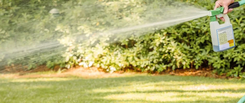 Spraying a liquid aeration treatment on a lawn in Sioux Falls, SD.