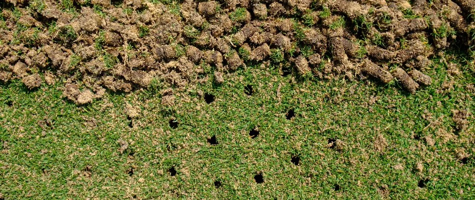 Core aeration creating open channels in turf in Sioux Falls, SD.