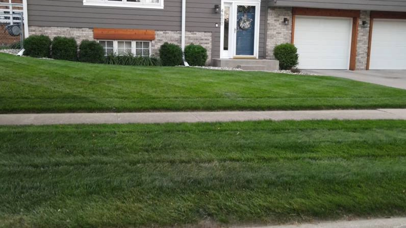 Lawn after view 1
