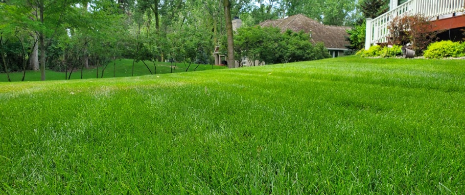 A fertilized lawn after service by Sharp Lawn Care in Canton, SD.