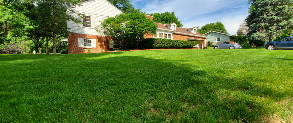 A treated green lawn in Hartford, SD.