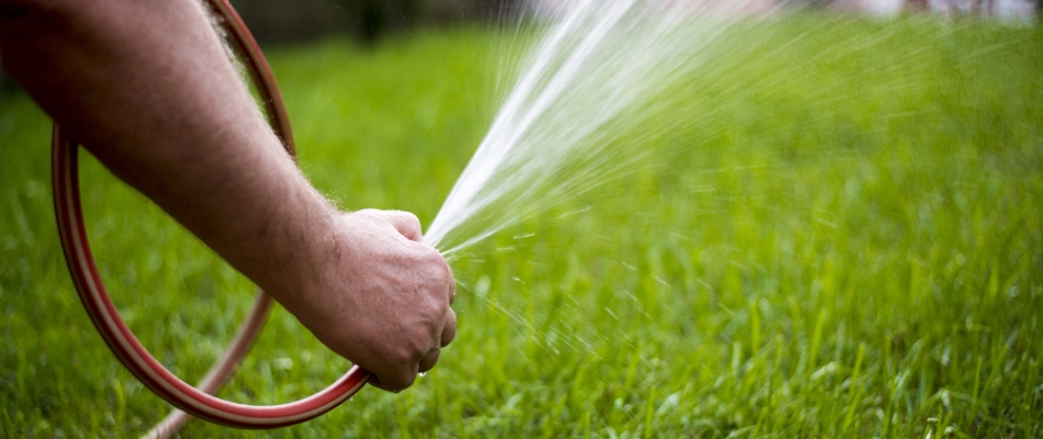 Hand watering a lawn in Moville, IA.