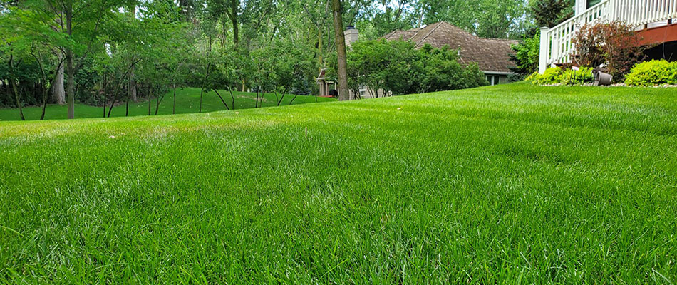 Healthy lawn with green grass at a home in Brandon, SD.