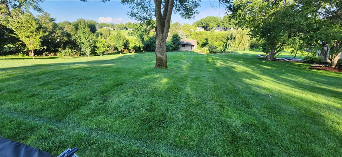 Healthy green lawn treated with Sharp Lawn Care's Essentials fertilization package