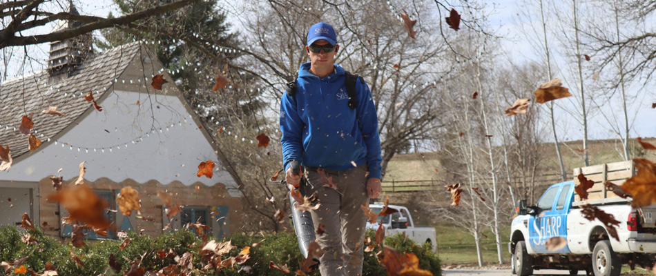 Sharp Lawn Care removing leaves from a lawn in Brandon, SD.