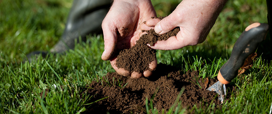 Lawn care professional performing a soil test near Jackson, NE.