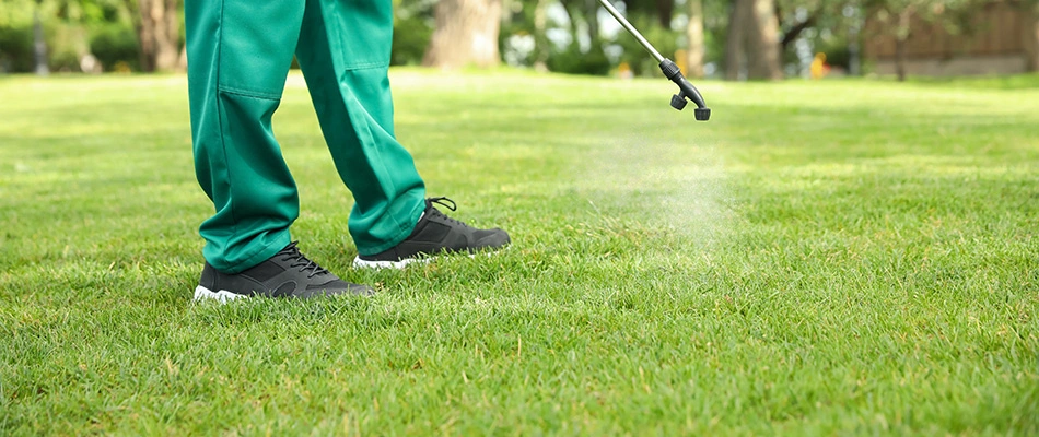 A pest control expert is spraying a lawn with tick control treatment in Sioux Falls, SD.