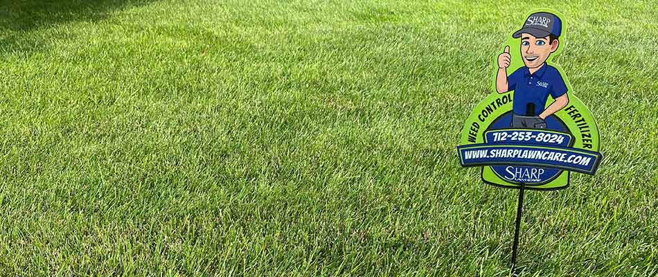 Perfect, healthy home lawn in Tea, SD.