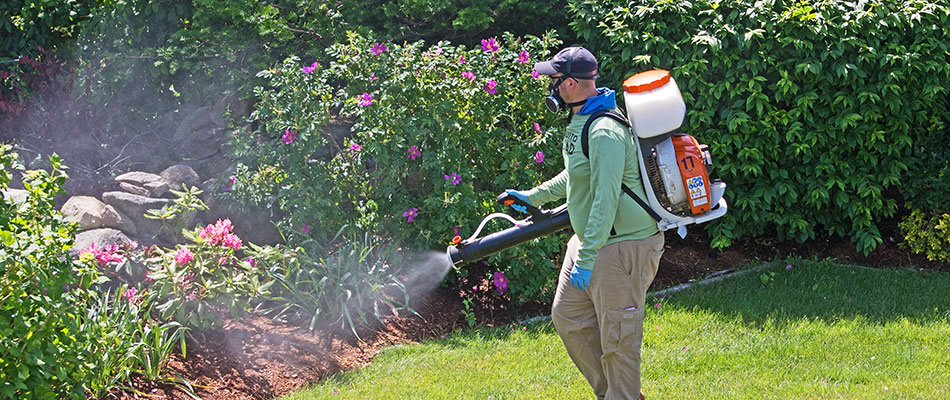 Professional spraying mosquito treatment throughout lawn in Sioux Falls, SD.