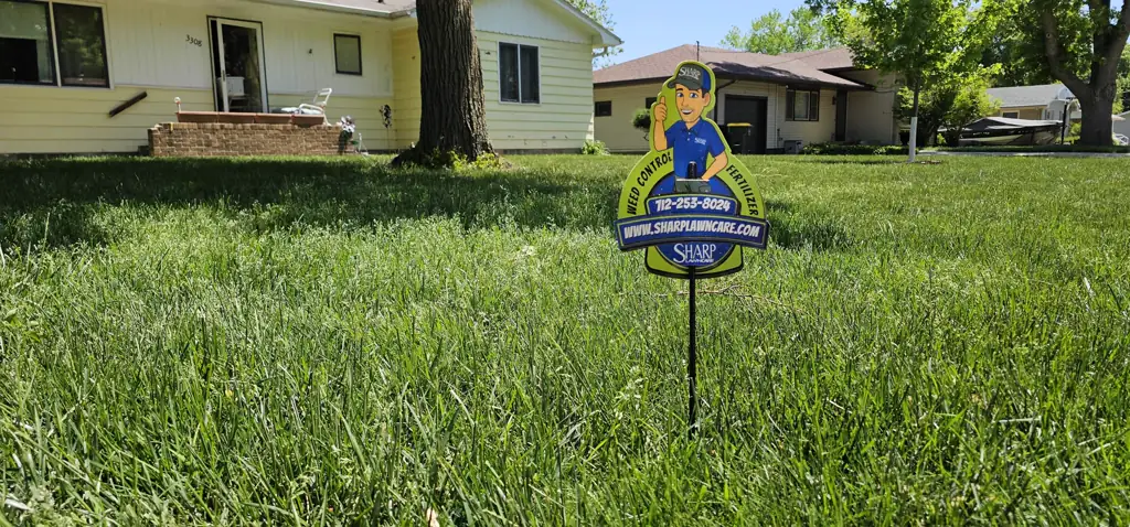 Thick healthy green lawn at the proper mowing height before a spring fertilizer treatment, with the Sharp Lawn Care branded yard sign and mascot at the curb.