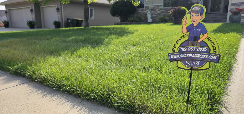 Healthy thick green lawn maintained by Sharp Lawn Care in Sioux City, IA, with the Sharp branded weed control and fertilizer yard sign and mascot displayed at the curb.