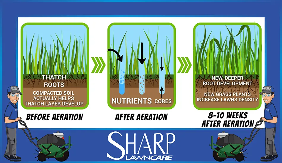 Sharp Lawn Care aeration infographic for Sioux Falls, SD and Sioux City, IA.