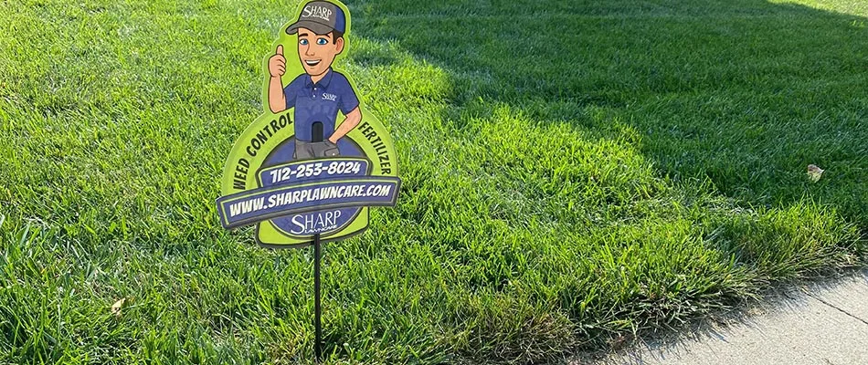 Sharp Lawn Care signage displayed in treated lawn in Lennox, SD.