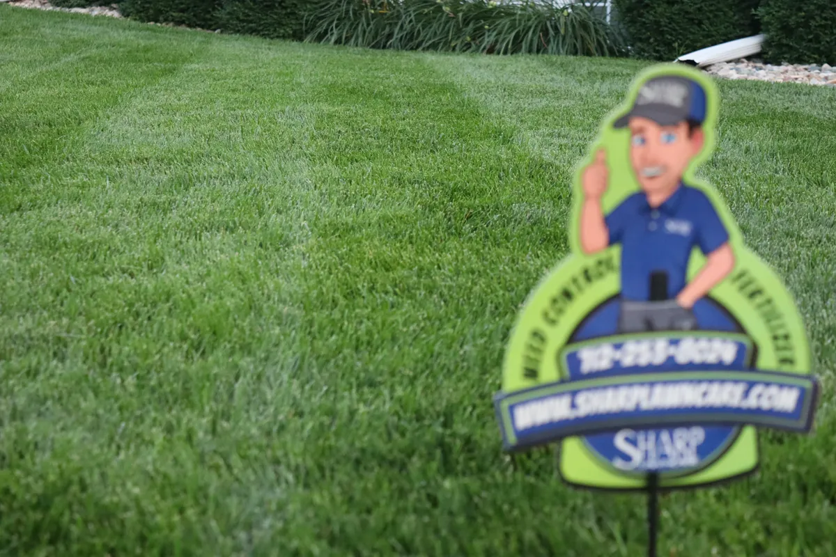 Sharp Lawn Care yard sign with mascot on a lawn in Sioux City IA