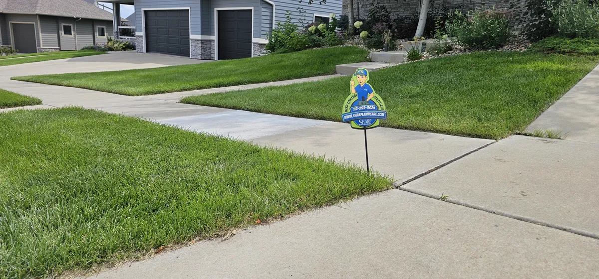 Healthy green lawn in the Siouxland area treated for mosquitoes