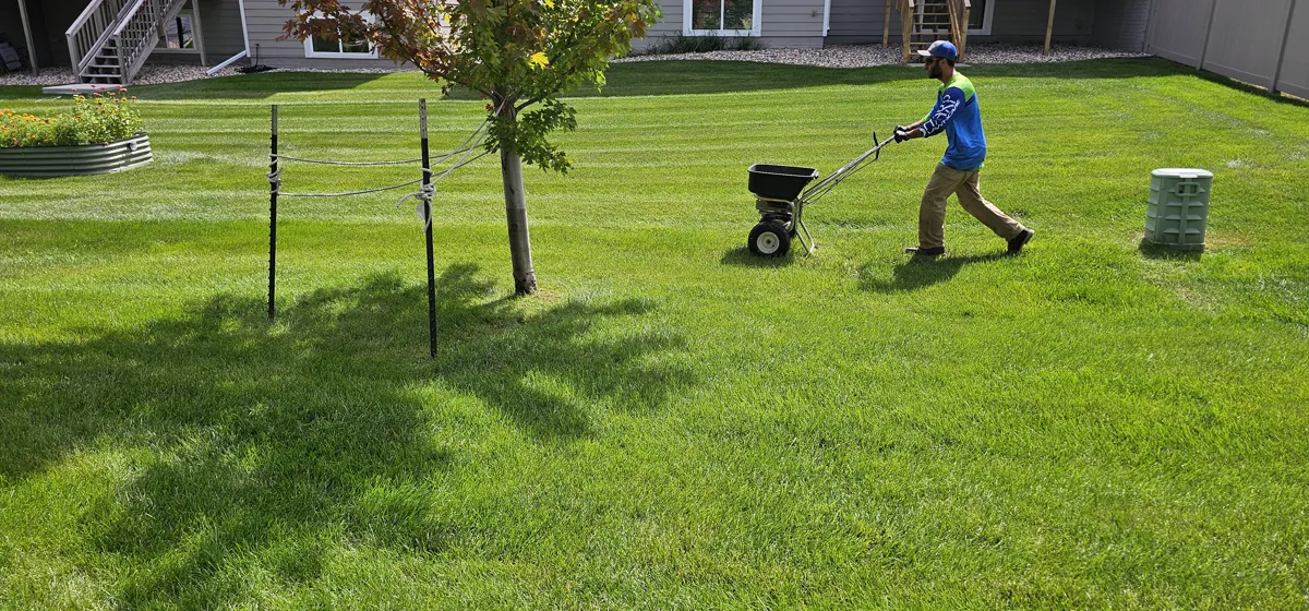 Sharp Lawn Care technician operating a spreader on a residential lawn