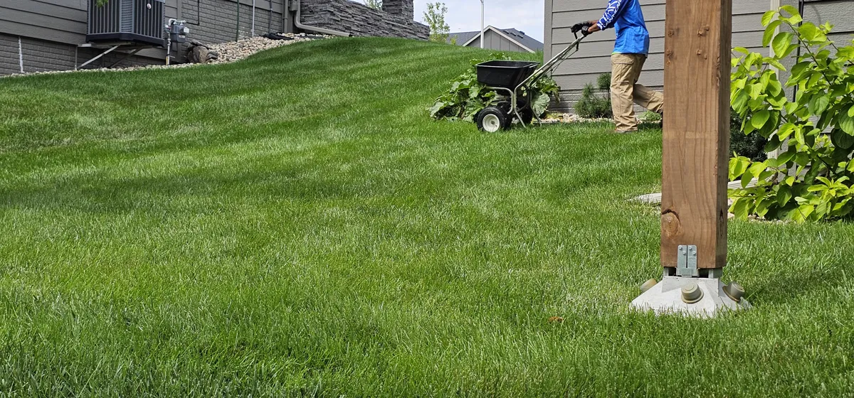 Walk-behind spreader being used for lawn fertilization service