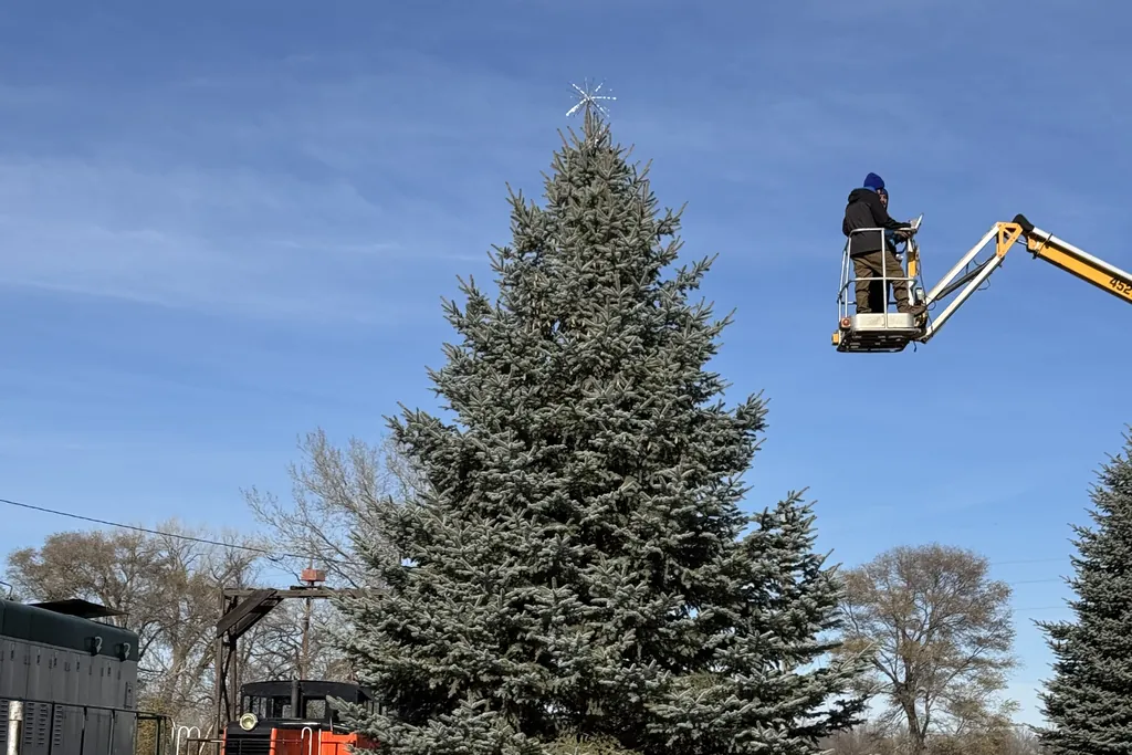 A Sharp Lawn Care technician in a lift bucket setting a star on a very tall spruce