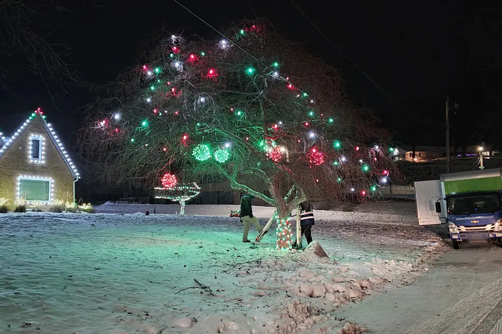 Night work on a large yard tree with the branded Sharp Lawn Care truck in the drive