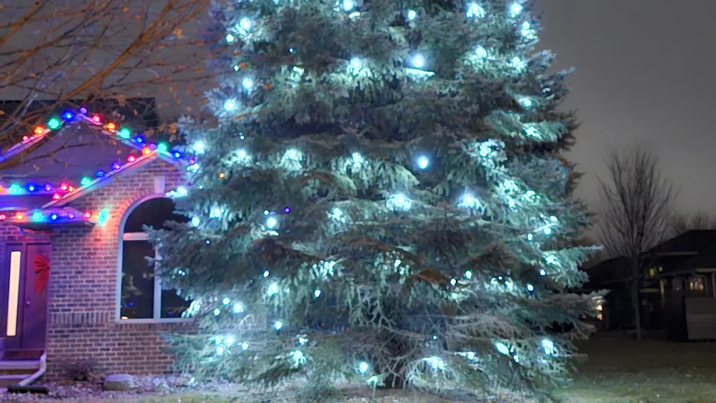 A spruce wrapped in cool white Christmas lights beside a lit Sioux Falls home