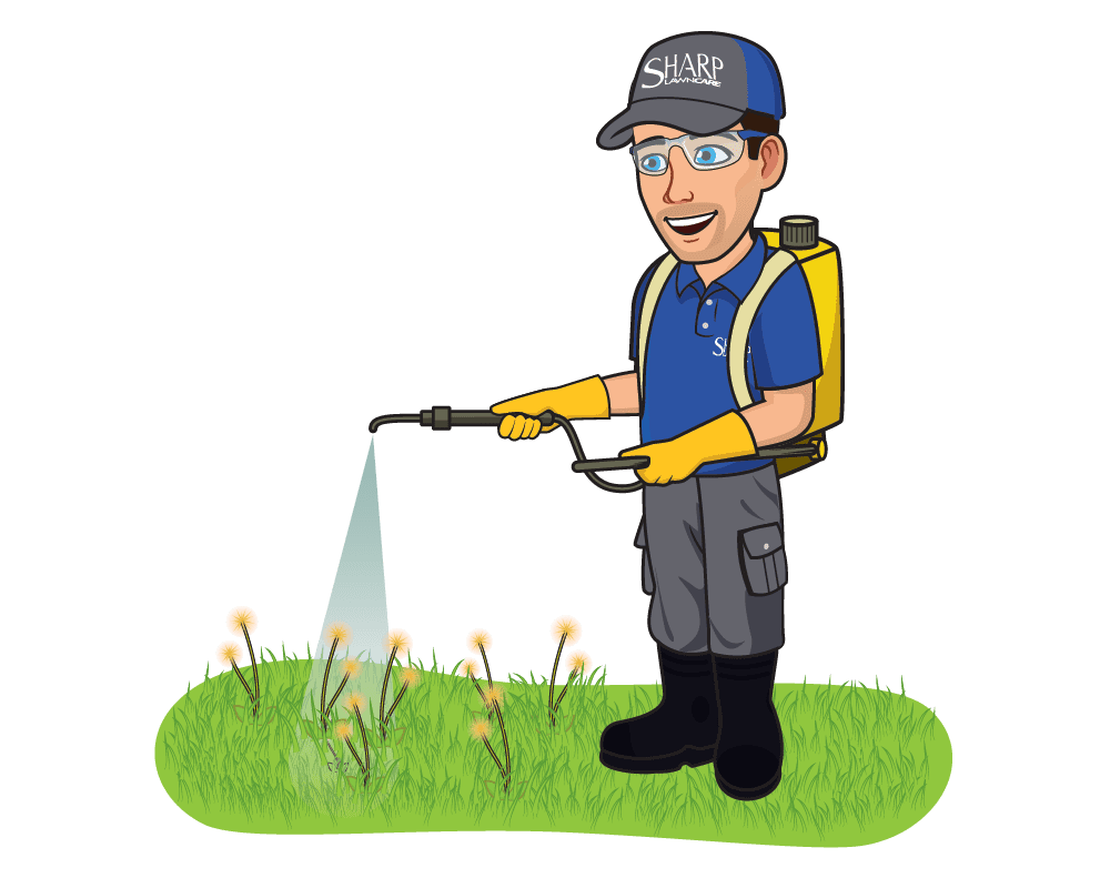 Lawn Care Tips For Beginners Sharp Lawn Care Blog