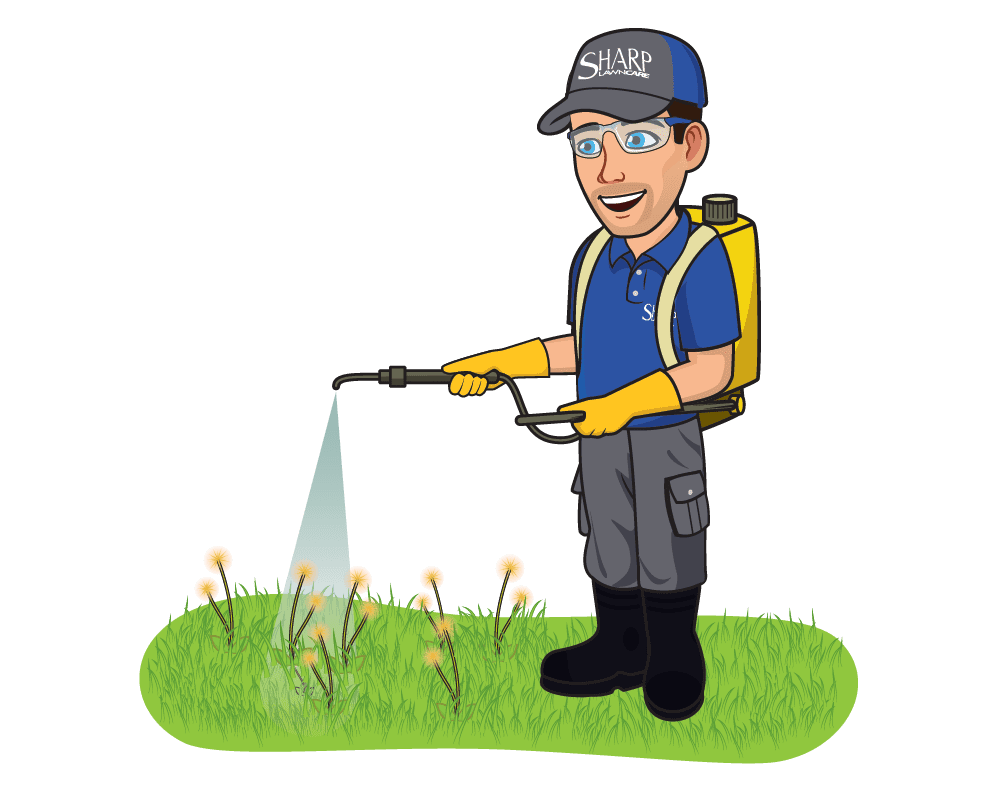 Lawn Care Tips For Beginners Sharp Lawn Care Blog 